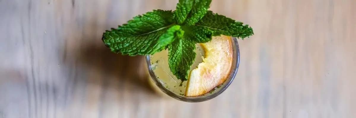 Sacred Valley Mojito